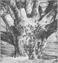 Иллюстрация к книге — Воскрешение Перуна. К реконструкции восточнославянского язычества [img_26.jpg]