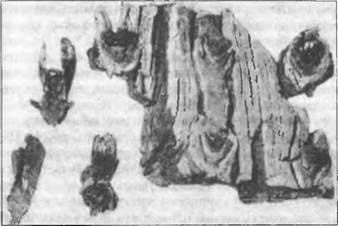 Иллюстрация к книге — Воскрешение Перуна. К реконструкции восточнославянского язычества [img_27.jpg]