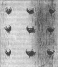 Иллюстрация к книге — Воскрешение Перуна. К реконструкции восточнославянского язычества [img_28.jpg]