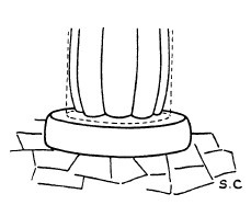 Иллюстрация к книге — Строительство и архитектура в Древнем Египте [i_074.jpg]