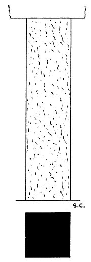 Иллюстрация к книге — Строительство и архитектура в Древнем Египте [i_075.jpg]