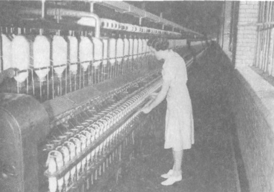 Иллюстрация к книге — Прощай, нищета! Краткая экономическая история мира [_176.jpg]