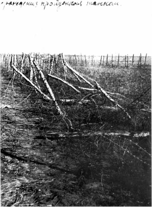 Иллюстрация к книге — Танки в Гражданской войне [i_088.jpg]