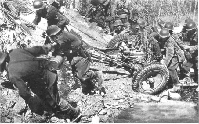 Иллюстрация к книге — Противотанковая артиллерия Вермахта во Второй Мировой войне. От &quot;дверных колотушек&quot; до &quot;убийц танков&quot; [i_013.jpg]