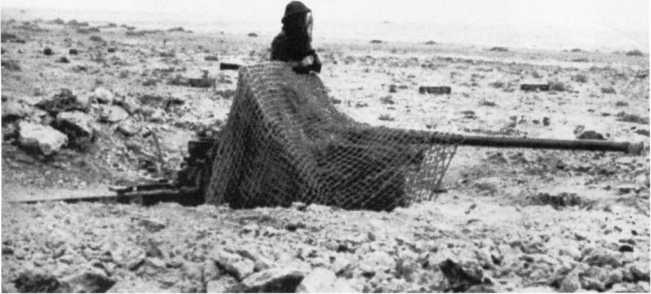 Иллюстрация к книге — Противотанковая артиллерия Вермахта во Второй Мировой войне. От &quot;дверных колотушек&quot; до &quot;убийц танков&quot; [i_018.jpg]