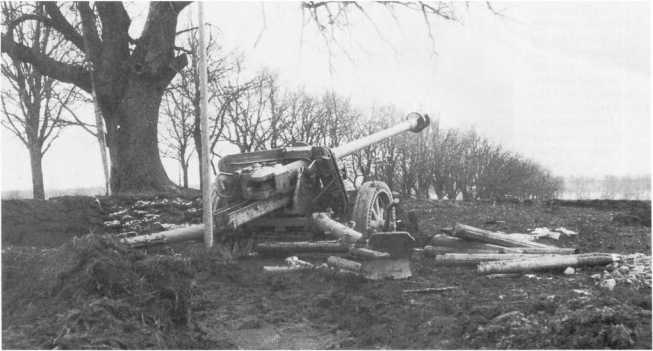 Иллюстрация к книге — Противотанковая артиллерия Вермахта во Второй Мировой войне. От &quot;дверных колотушек&quot; до &quot;убийц танков&quot; [i_033.jpg]