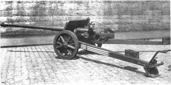 Иллюстрация к книге — Противотанковая артиллерия Вермахта во Второй Мировой войне. От &quot;дверных колотушек&quot; до &quot;убийц танков&quot; [i_039.jpg]