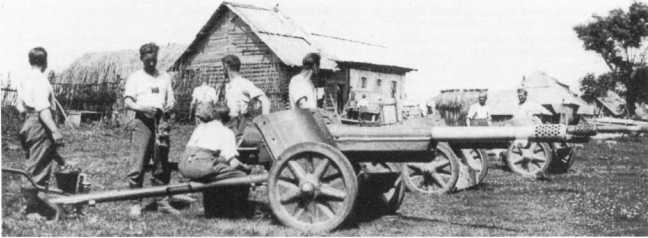 Иллюстрация к книге — Противотанковая артиллерия Вермахта во Второй Мировой войне. От &quot;дверных колотушек&quot; до &quot;убийц танков&quot; [i_048.jpg]