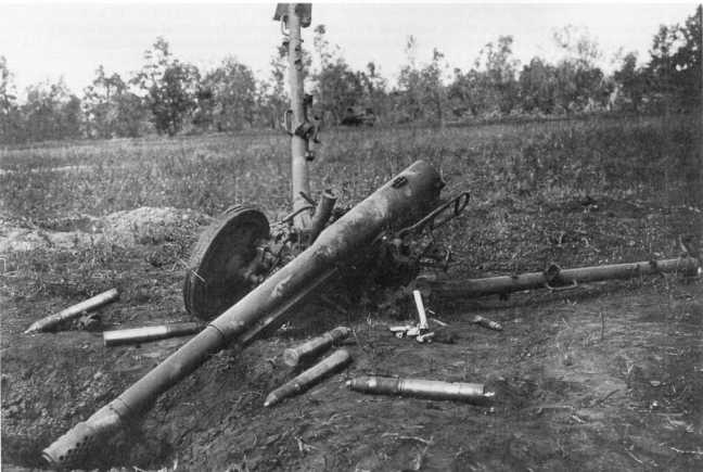 Иллюстрация к книге — Противотанковая артиллерия Вермахта во Второй Мировой войне. От &quot;дверных колотушек&quot; до &quot;убийц танков&quot; [i_051.jpg]