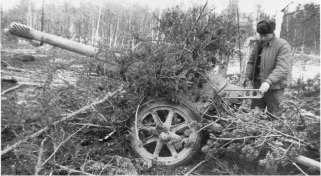 Иллюстрация к книге — Противотанковая артиллерия Вермахта во Второй Мировой войне. От &quot;дверных колотушек&quot; до &quot;убийц танков&quot; [i_053.jpg]