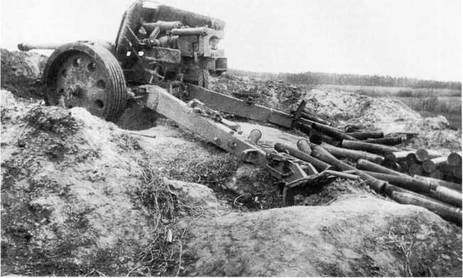 Иллюстрация к книге — Противотанковая артиллерия Вермахта во Второй Мировой войне. От &quot;дверных колотушек&quot; до &quot;убийц танков&quot; [i_085.jpg]