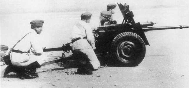 Иллюстрация к книге — Противотанковая артиллерия Вермахта во Второй Мировой войне. От &quot;дверных колотушек&quot; до &quot;убийц танков&quot; [i_097.jpg]