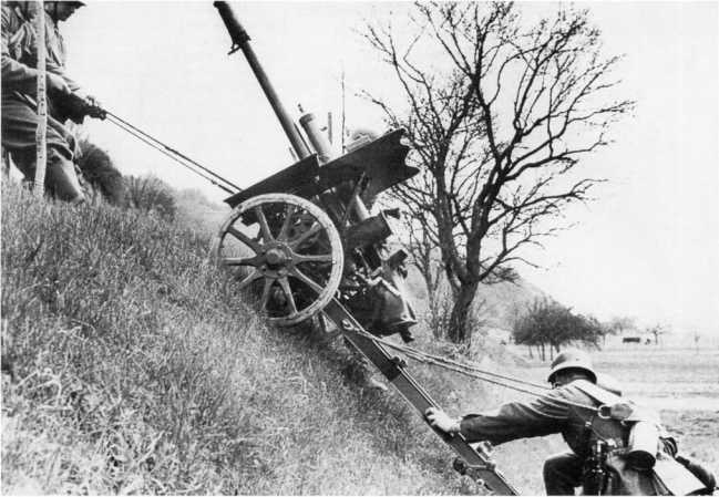 Иллюстрация к книге — Противотанковая артиллерия Вермахта во Второй Мировой войне. От &quot;дверных колотушек&quot; до &quot;убийц танков&quot; [i_101.jpg]