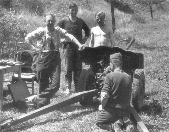 Иллюстрация к книге — Противотанковая артиллерия Вермахта во Второй Мировой войне. От &quot;дверных колотушек&quot; до &quot;убийц танков&quot; [i_116.jpg]