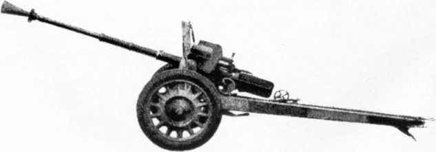 Иллюстрация к книге — Противотанковая артиллерия Вермахта во Второй Мировой войне. От &quot;дверных колотушек&quot; до &quot;убийц танков&quot; [i_120.jpg]