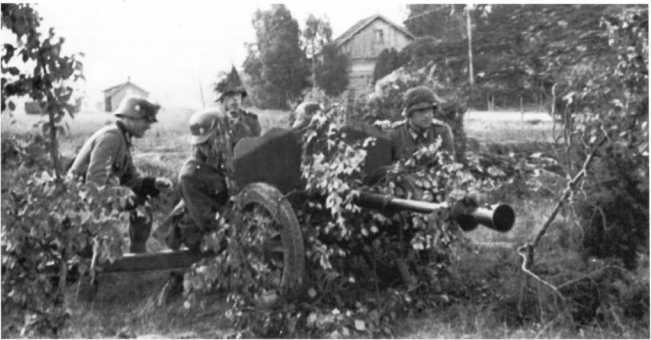 Иллюстрация к книге — Противотанковая артиллерия Вермахта во Второй Мировой войне. От &quot;дверных колотушек&quot; до &quot;убийц танков&quot; [i_121.jpg]