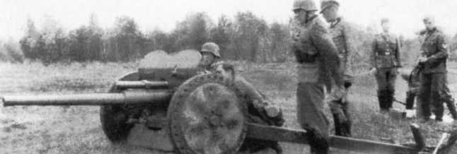 Иллюстрация к книге — Противотанковая артиллерия Вермахта во Второй Мировой войне. От &quot;дверных колотушек&quot; до &quot;убийц танков&quot; [i_124.jpg]