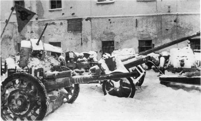 Иллюстрация к книге — Противотанковая артиллерия Вермахта во Второй Мировой войне. От &quot;дверных колотушек&quot; до &quot;убийц танков&quot; [i_127.jpg]