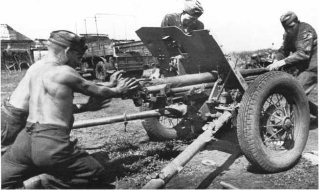 Иллюстрация к книге — Противотанковая артиллерия Вермахта во Второй Мировой войне. От &quot;дверных колотушек&quot; до &quot;убийц танков&quot; [i_129.jpg]