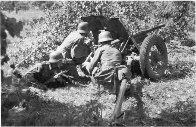 Иллюстрация к книге — Противотанковая артиллерия Вермахта во Второй Мировой войне. От &quot;дверных колотушек&quot; до &quot;убийц танков&quot; [i_131.jpg]