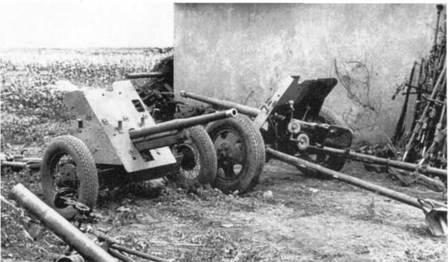 Иллюстрация к книге — Противотанковая артиллерия Вермахта во Второй Мировой войне. От &quot;дверных колотушек&quot; до &quot;убийц танков&quot; [i_132.jpg]