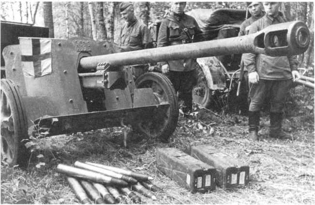 Иллюстрация к книге — Противотанковая артиллерия Вермахта во Второй Мировой войне. От &quot;дверных колотушек&quot; до &quot;убийц танков&quot; [i_138.jpg]