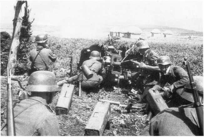 Иллюстрация к книге — Противотанковая артиллерия Вермахта во Второй Мировой войне. От &quot;дверных колотушек&quot; до &quot;убийц танков&quot; [i_139.jpg]