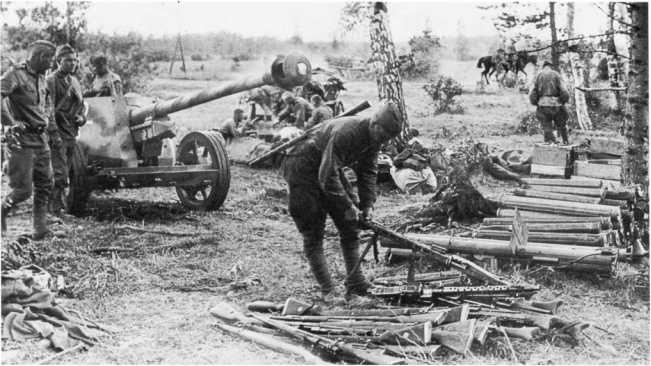 Иллюстрация к книге — Противотанковая артиллерия Вермахта во Второй Мировой войне. От &quot;дверных колотушек&quot; до &quot;убийц танков&quot; [i_143.jpg]