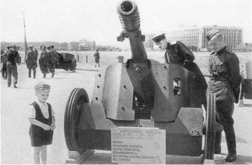 Иллюстрация к книге — Противотанковая артиллерия Вермахта во Второй Мировой войне. От &quot;дверных колотушек&quot; до &quot;убийц танков&quot; [i_149.jpg]