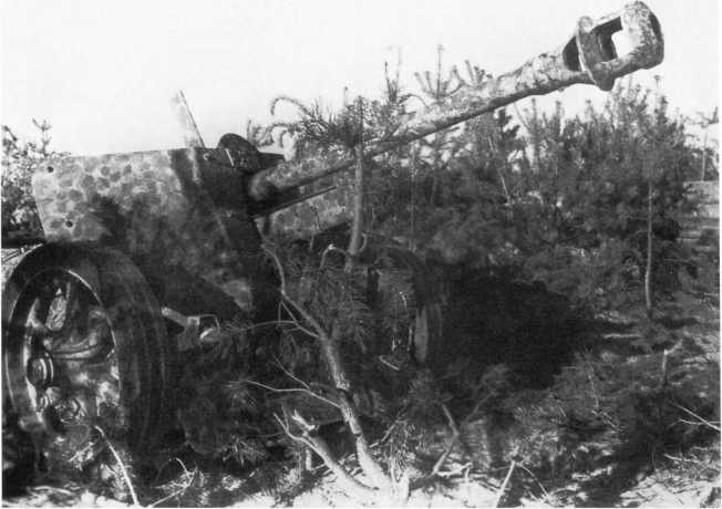 Иллюстрация к книге — Противотанковая артиллерия Вермахта во Второй Мировой войне. От &quot;дверных колотушек&quot; до &quot;убийц танков&quot; [i_151.jpg]