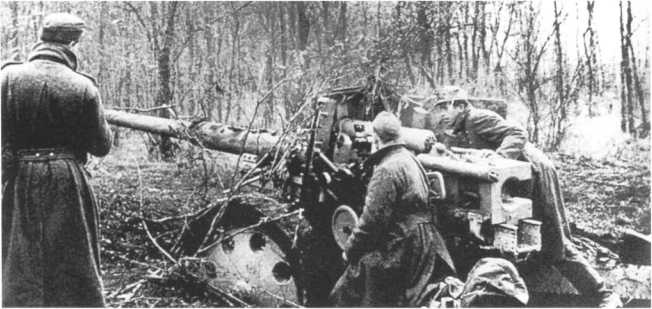 Иллюстрация к книге — Противотанковая артиллерия Вермахта во Второй Мировой войне. От &quot;дверных колотушек&quot; до &quot;убийц танков&quot; [i_155.jpg]