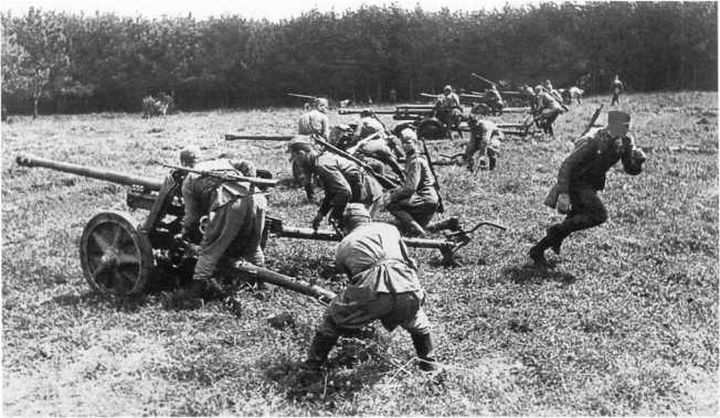 Иллюстрация к книге — Противотанковая артиллерия Вермахта во Второй Мировой войне. От &quot;дверных колотушек&quot; до &quot;убийц танков&quot; [i_161.jpg]