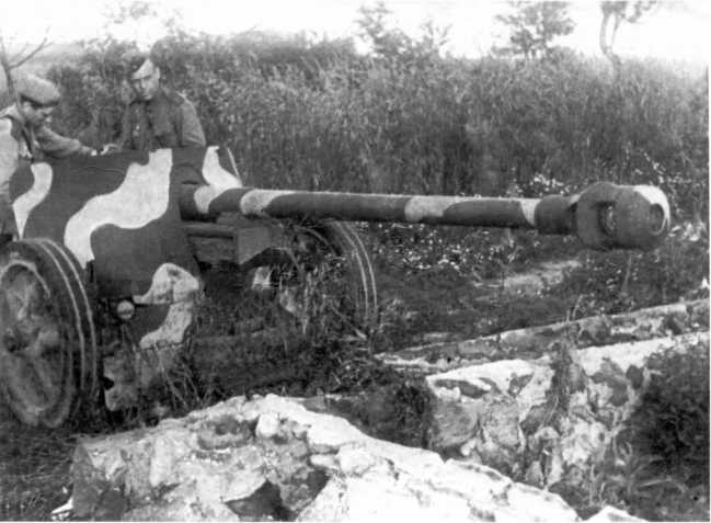 Иллюстрация к книге — Противотанковая артиллерия Вермахта во Второй Мировой войне. От "дверных колотушек" до "убийц танков" [i_169.jpg]