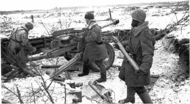 Иллюстрация к книге — Противотанковая артиллерия Вермахта во Второй Мировой войне. От "дверных колотушек" до "убийц танков" [i_170.jpg]