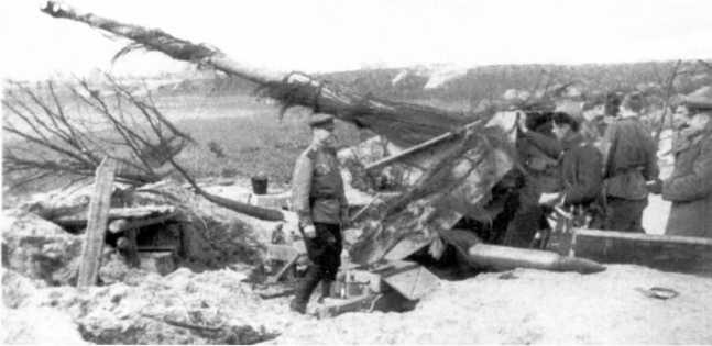 Иллюстрация к книге — Противотанковая артиллерия Вермахта во Второй Мировой войне. От &quot;дверных колотушек&quot; до &quot;убийц танков&quot; [i_175.jpg]