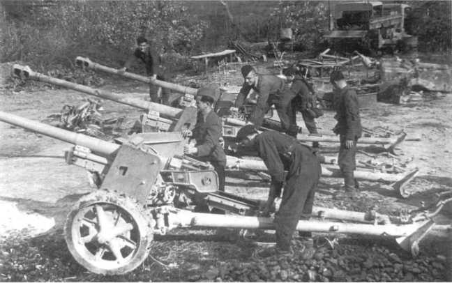 Иллюстрация к книге — Противотанковая артиллерия Вермахта во Второй Мировой войне. От &quot;дверных колотушек&quot; до &quot;убийц танков&quot; [i_178.jpg]