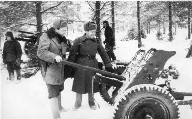 Иллюстрация к книге — Противотанковая артиллерия Вермахта во Второй Мировой войне. От &quot;дверных колотушек&quot; до &quot;убийц танков&quot; [i_182.jpg]