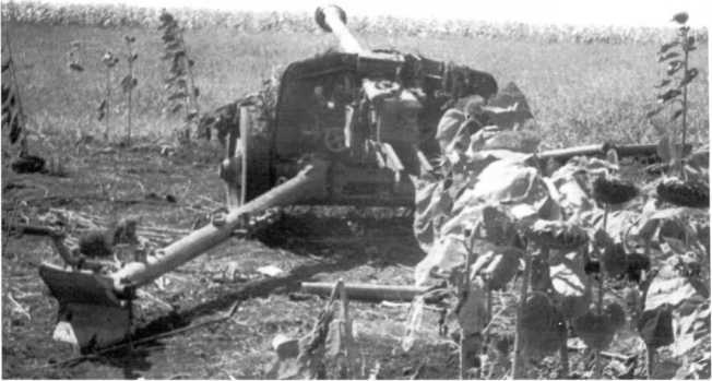 Иллюстрация к книге — Противотанковая артиллерия Вермахта во Второй Мировой войне. От &quot;дверных колотушек&quot; до &quot;убийц танков&quot; [i_183.jpg]