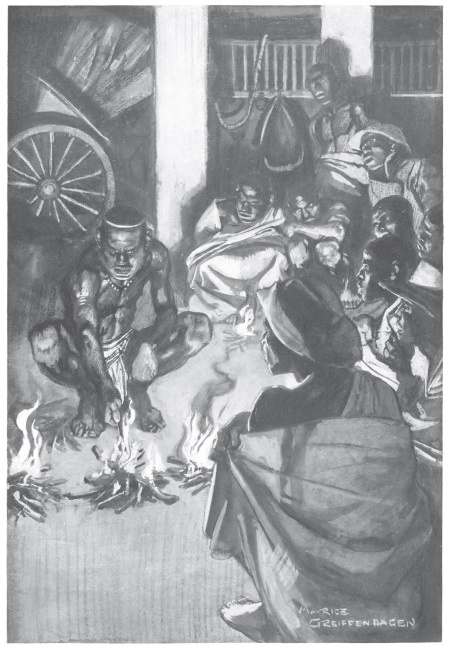 Иллюстрация к книге — Священный цветок. Чудовище по имени Хоу-Хоу. Она и Аллан. Сокровище озера [i_005.jpg]