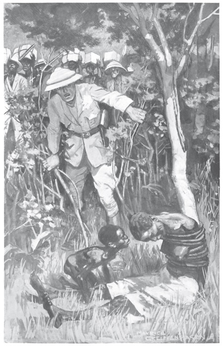 Иллюстрация к книге — Священный цветок. Чудовище по имени Хоу-Хоу. Она и Аллан. Сокровище озера [i_007.jpg]