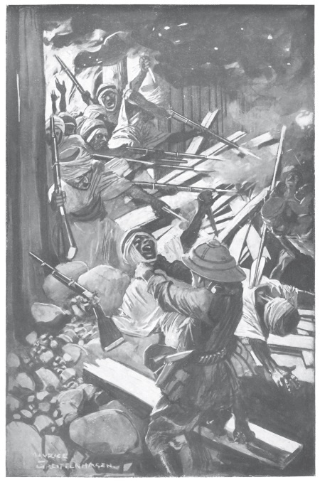 Иллюстрация к книге — Священный цветок. Чудовище по имени Хоу-Хоу. Она и Аллан. Сокровище озера [i_018.jpg]