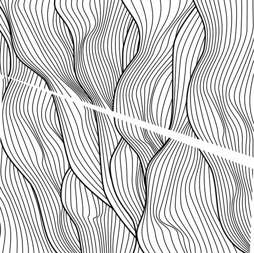 Иллюстрация к книге — На струне [i_014.jpg]