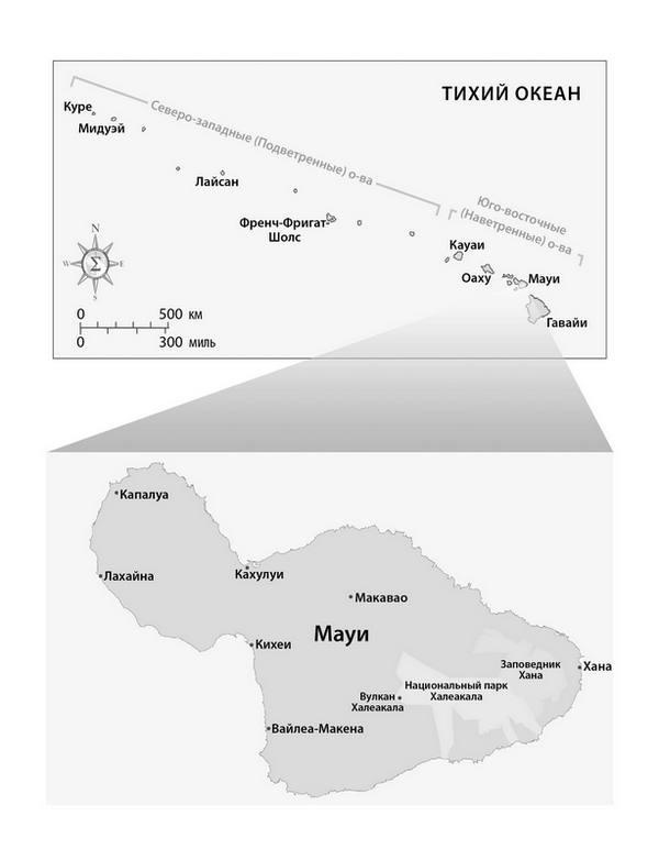 Иллюстрация к книге — Венец демона [i_002.jpg]