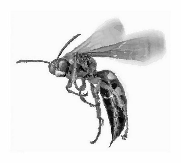 Иллюстрация к книге — Венец демона [i_026.jpg]