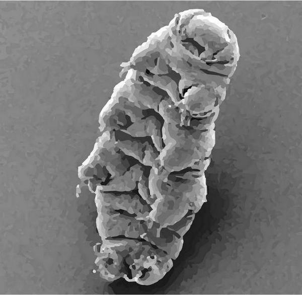 Иллюстрация к книге — Венец демона [i_029.jpg]