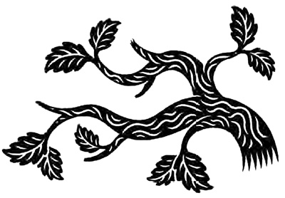 Иллюстрация к книге — Ореховый лес [i_024.jpg]