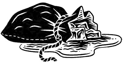 Иллюстрация к книге — Ореховый лес [i_029.jpg]