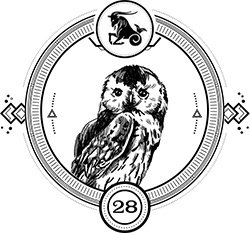 Иллюстрация к книге — Пандемониум. Верховная мать змей [i_030.jpg]