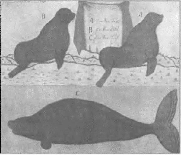 Иллюстрация к книге — Россия, какой она могла бы быть. История приобретений и потерь заморских территорий [i_012.jpg]