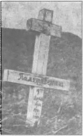 Иллюстрация к книге — Россия, какой она могла бы быть. История приобретений и потерь заморских территорий [i_015.jpg]